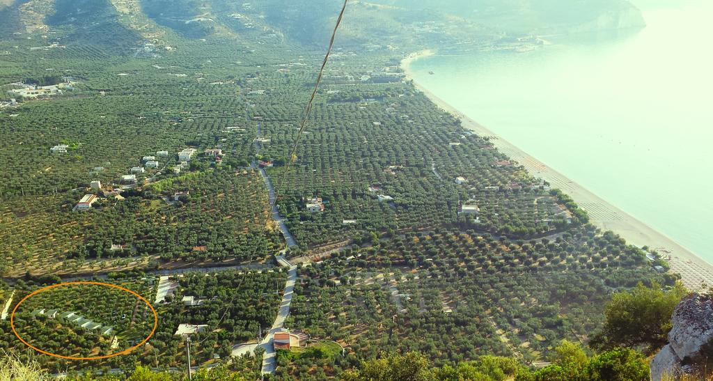 Agriturismo Antichi Ulivi Mattinata Ngoại thất bức ảnh