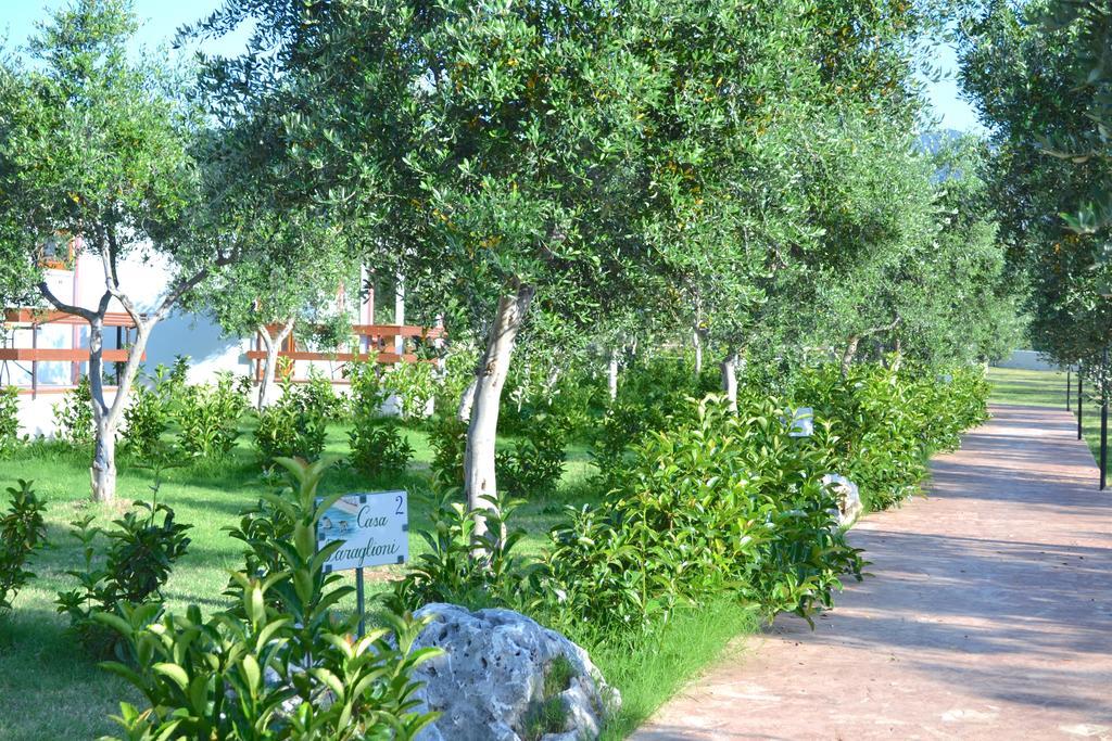Agriturismo Antichi Ulivi Mattinata Ngoại thất bức ảnh