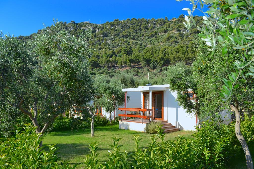 Agriturismo Antichi Ulivi Mattinata Ngoại thất bức ảnh
