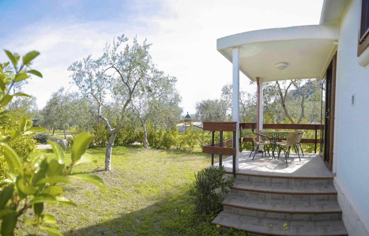 Agriturismo Antichi Ulivi Mattinata Ngoại thất bức ảnh