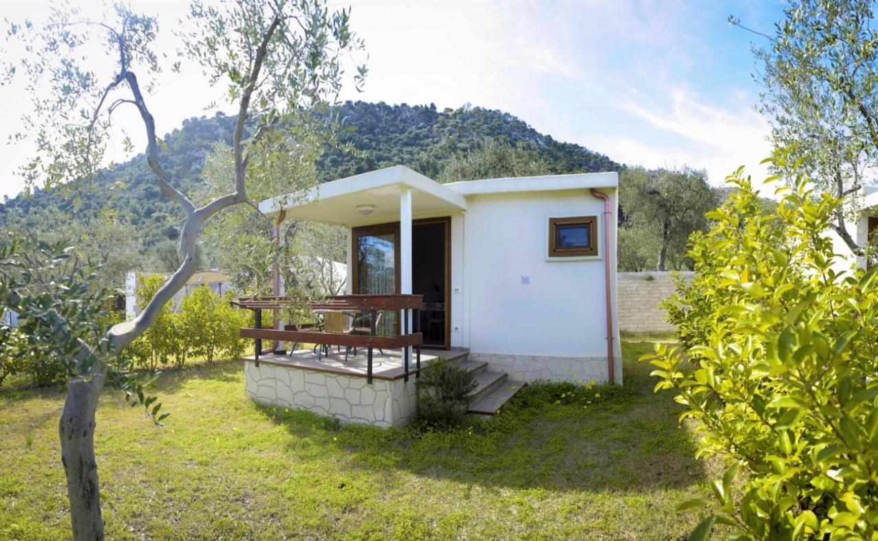 Agriturismo Antichi Ulivi Mattinata Ngoại thất bức ảnh